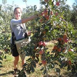 Arbeiten in Australien