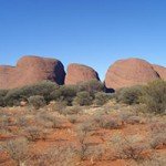 Die Olgas ( Kata Tjuta) vom Lookout